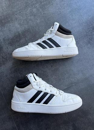 Кросівки adidas hoops mid classic