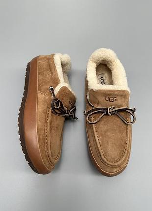 Жіночі мокасини черевики ugg