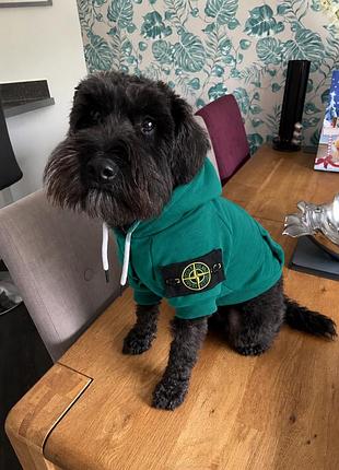 Одяг для домашніх тварин stone island худі для собак