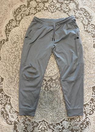 Чоловічі спортивні штани the north face сірі