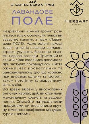 Травʼяний карпатський чай 4