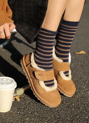 Напівчеревики ugg полуботинки