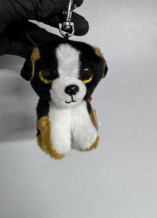М’яка іграшка-брелок ty beanie babies у вигляді цуценя бернського зенненхунда на ім’я роско (roscoe) з характерними блискучими золотистими очима