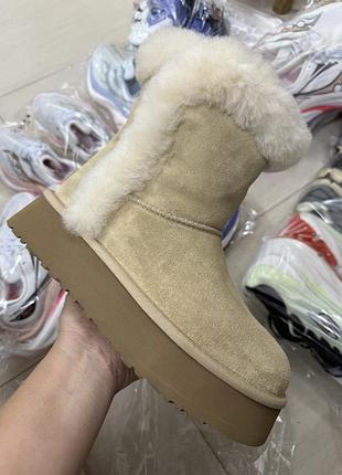 Черевики ugg угги уггі