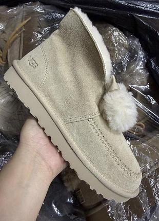 Черевики жіночі ugg женские ботинки