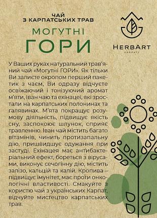 Травяной карпатский чай 2
