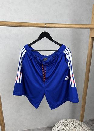 Спортивні шорти adidas