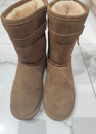 Зимові чоботи угги bearpaw val, модель середньої висоти (mid-calf). верх  100% натуральна замша, підкладка з овчини.