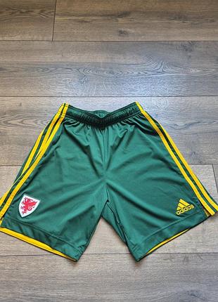 Шорти чоловічі adidas збірної уельсу, зелені, розмір s