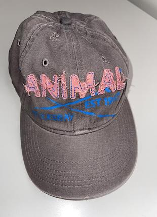 Кепка animal