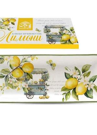 Блюдо 28x12x3см прямоугольное лимоны 700-19-22 тм snt