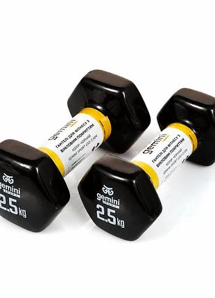 Гантели для фитнеса gemini sport 2×2,5 кг - виниловые гантели для тренировок, аэробики и силовых упражнений черный (пара)