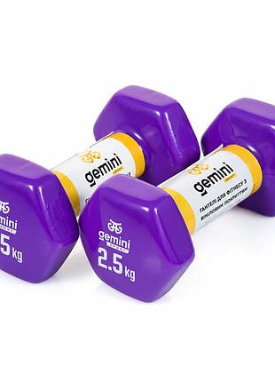 Гантели для фитнеса gemini sport 2×2,5 кг - виниловые гантели для тренировок, аэробики и силовых упражнений фиолетовый (пара)