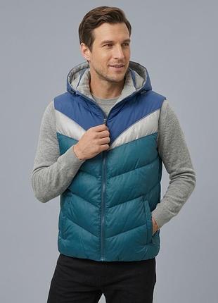 Жилетка чоловіча з капюшоном (cobalt/silver/teal) 3