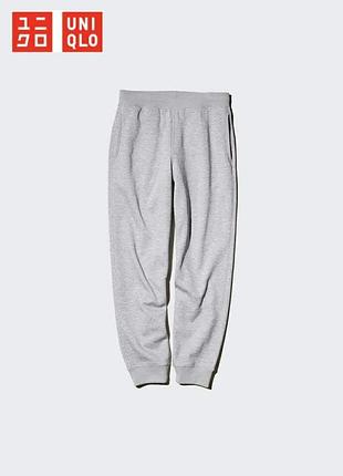 Uniqlo. чоловічі штани на шерпі