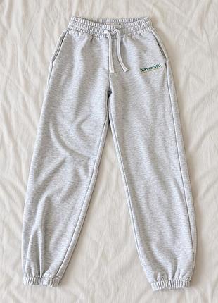 Стильні сірі джогери palm springs usa zara