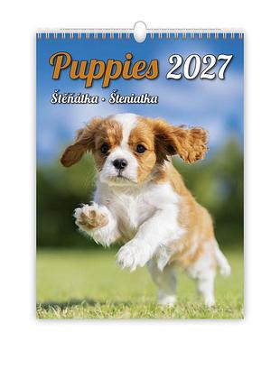 Календар настінний 2027 helma 24 x 33 см puppies (n181-27)