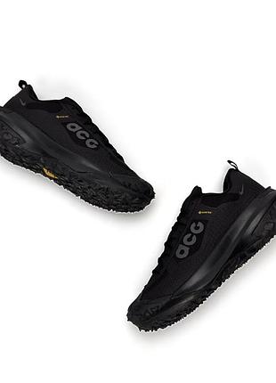Nike acg mountain fly 2 low gtx m all black