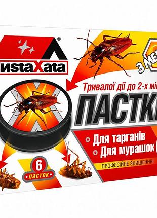Ловушка-избушка для тараканов и муравьев "чиста хата"