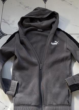 Кофта puma сіра на змійці з капюшоном