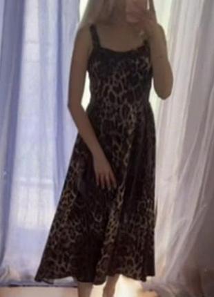 Леопардова сукня dolce & gabbana