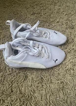 Кросівки puma
