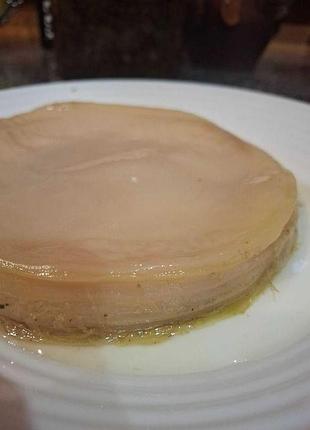 Чайный гриб комбуча. передаю только из рук в руки (житомир, с. становка)
