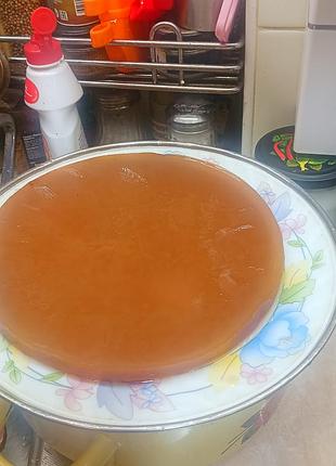 Чайный гриб камбуча