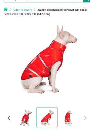 Жилет для собак pet fashion big boss червоний