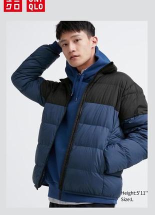 Мужской пуховик 3d cut от uniqlo
