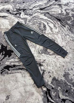 Чоловічі спортивні штани adidas