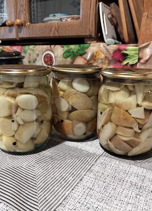 Маринованные грибы волинская область
