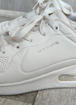 Кросівки skechers