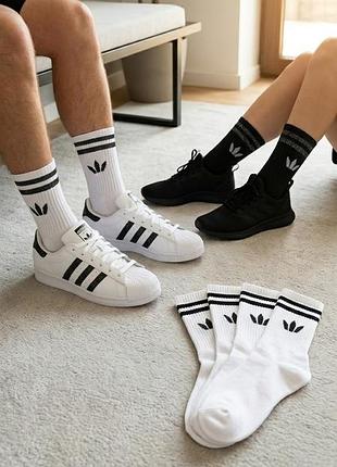 Білі спортивні шкарпетки з принтом / високі шкарпетки в стилі adidas