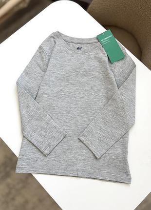 Реглан для хлопчика h&m бавовняний сірий