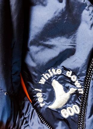 Bogner fire+ice жилет пух 5