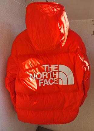 Пуховик чоловічий від tnf 9