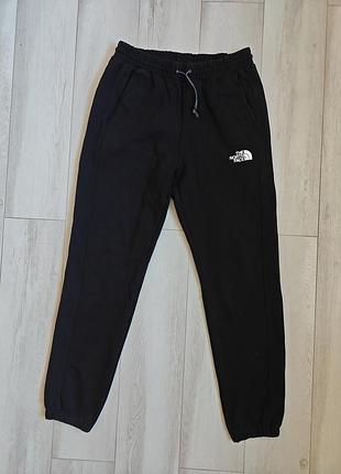 The north face штани спортивні чоловічі жіночі