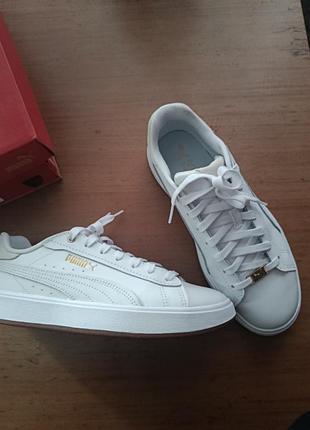 Кросівки puma aveline