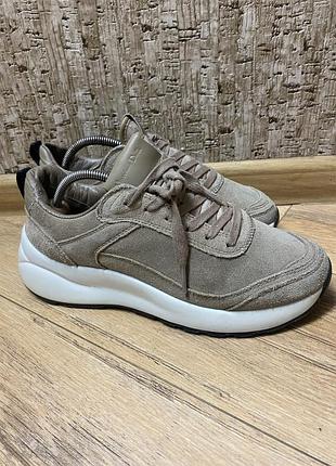 Замшевые кроссовки от massimo dutti 2