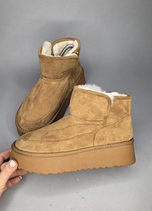 Теплые угги сапоги primark