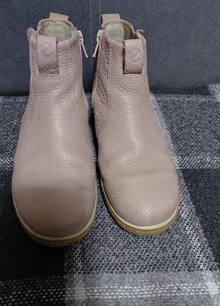 Черевики ecco