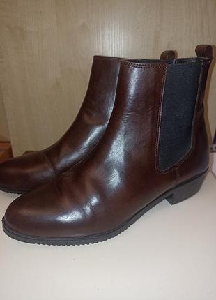 Женские кожаные темно коричневые / шоколадные ботинки челси marks &amp; spencer (m&amp;s), р. 38 (5)