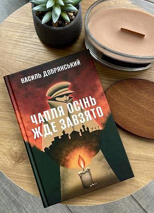 Василь добрянський «чапля осінь жде завзято»
