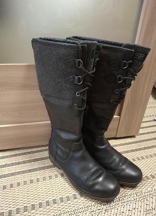 Демисезонные высокие сапоги ugg.