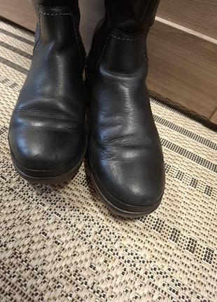 Демисезонные высокие сапоги ugg. 3