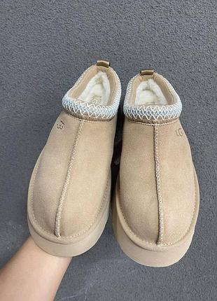 Мюлі уггі ugg tazz угги