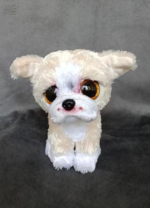 М'яка іграшка ty beanie boos англійський бульдог pooch, 15 см