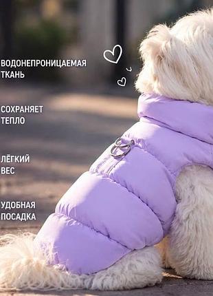 Зимняя куртка для собак в нежном сиреневом цвете — теплый пуховик для маленьких пород