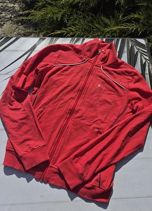 Спортивная кофта на молнии exlory active (размер s / eur 36-38) / яркая олимпийка